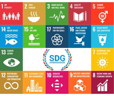 SDG Ambassador - Goals